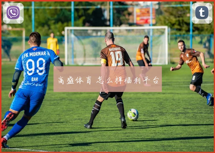 高盛体育 怎么样福利平台