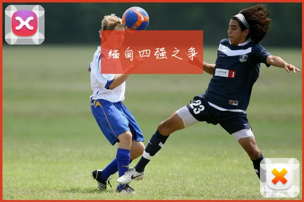 缅甸四强之争