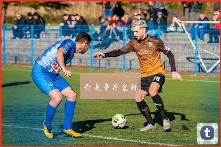 丹麦争夺金杯