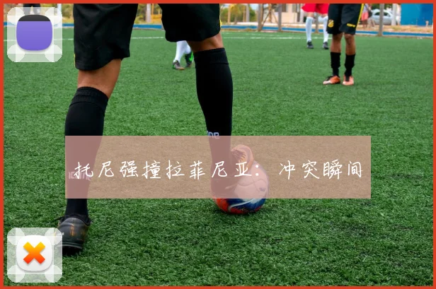 托尼强撞拉菲尼亚：冲突瞬间