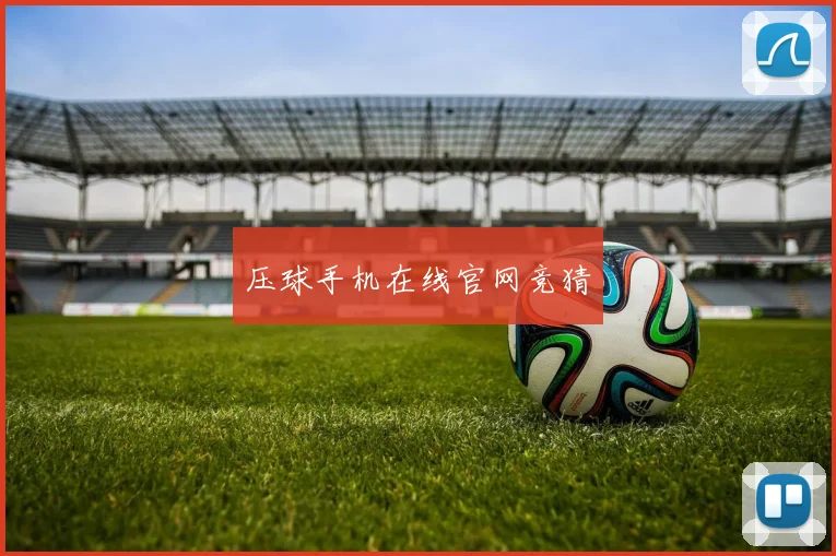 压球手机在线官网竞猜
