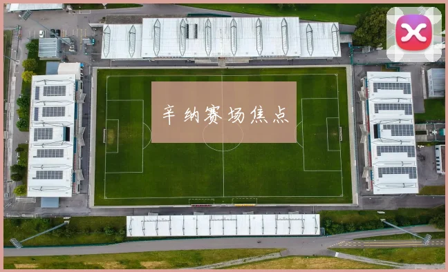 辛纳赛场焦点