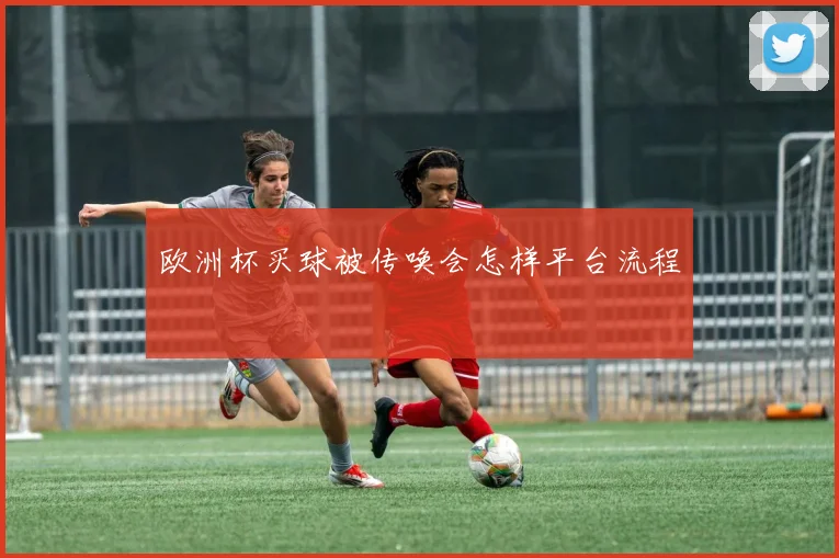 欧洲杯买球被传唤会怎样平台流程