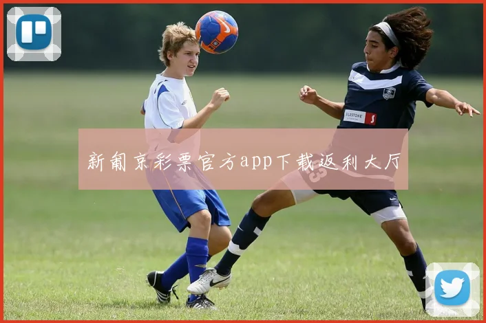 新匍京彩票官方app下载返利大厅