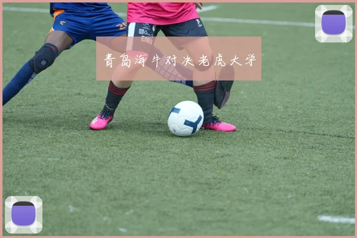 青岛海牛对决老虎大学