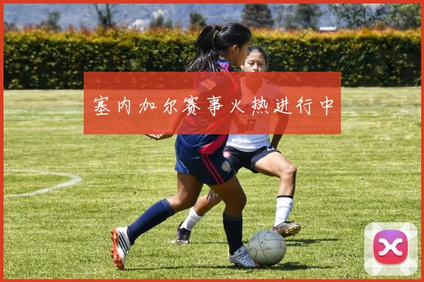 塞内加尔赛事火热进行中