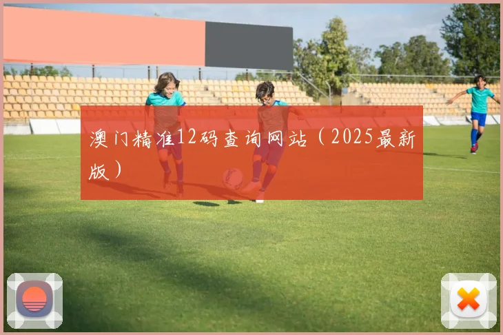 澳门精准12码查询网站（2025最新版）