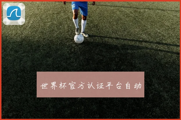 世界杯官方认证平台自动