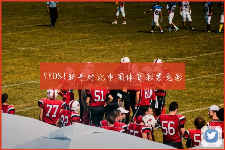 YYDS!新手对比中国体育彩票竞彩