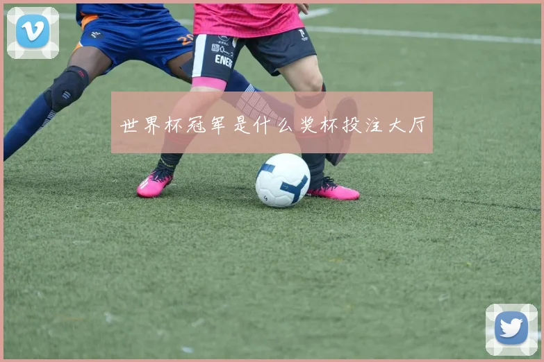 世界杯冠军是什么奖杯投注大厅