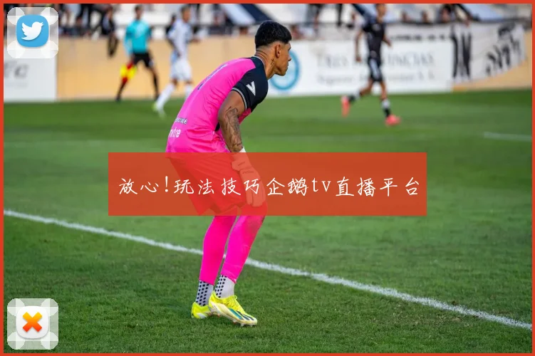 放心!玩法技巧企鹅tv直播平台