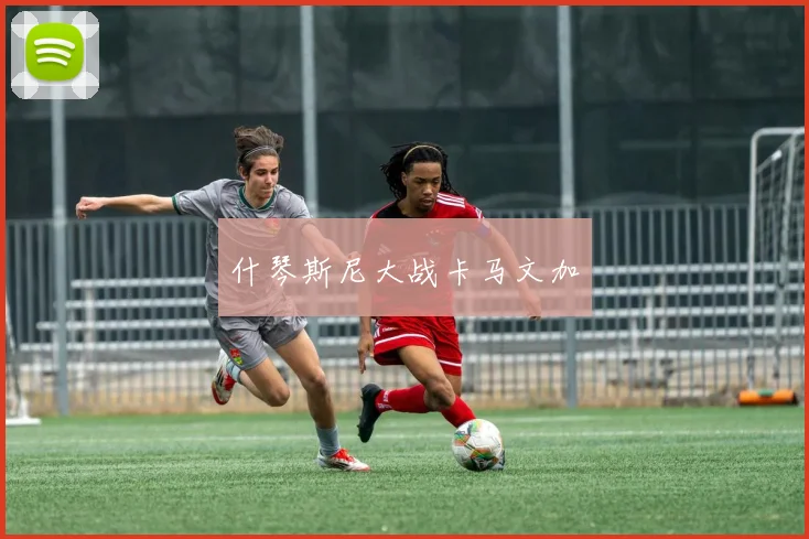 什琴斯尼大战卡马文加