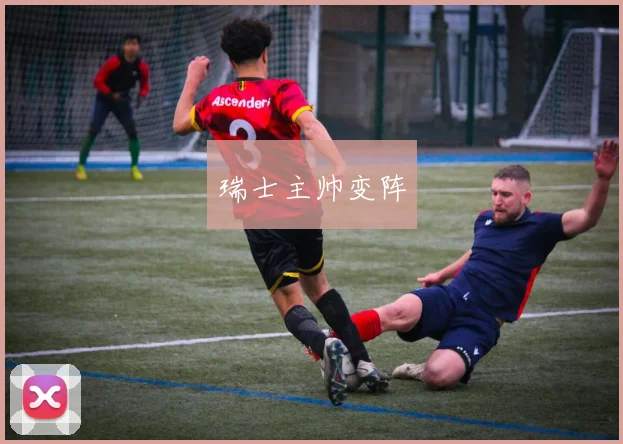 瑞士主帅变阵