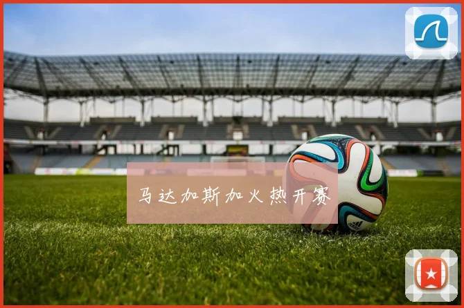 马达加斯加火热开赛