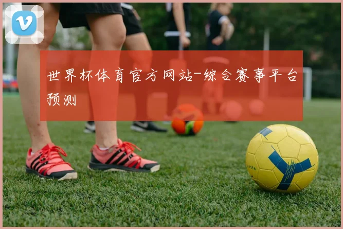 世界杯体育官方网站-综合赛事平台预测