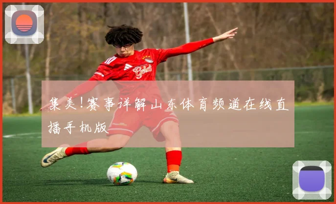 集美!赛事详解山东体育频道在线直播手机版