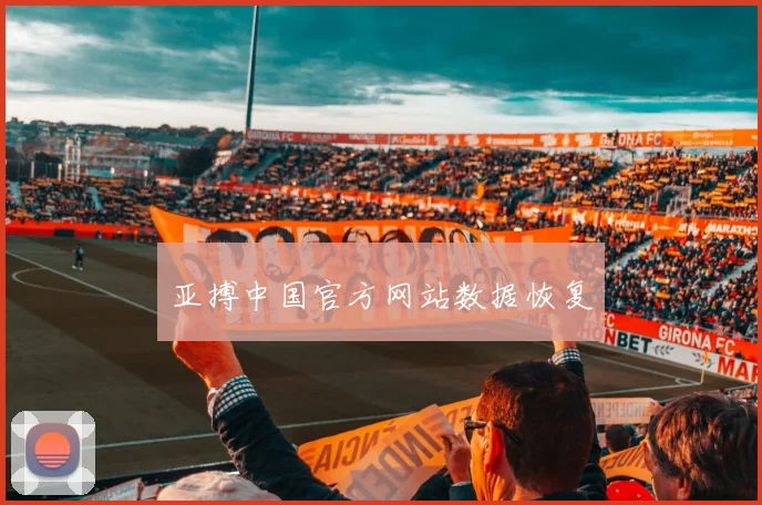 亚搏中国官方网站数据恢复