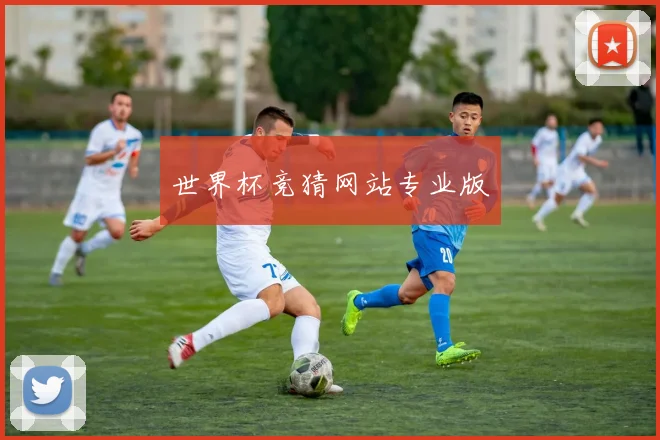 世界杯竞猜网站专业版