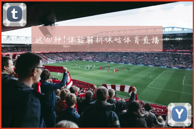 这⑥种!体验解析咪咕体育直播