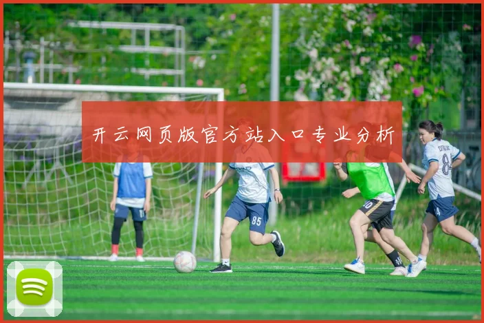 开云网页版官方站入口专业分析