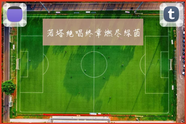 若塔绝唱终章燃尽绿茵