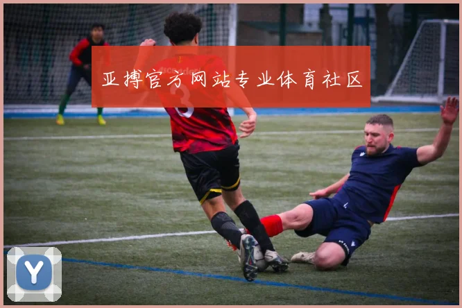 亚搏官方网站专业体育社区