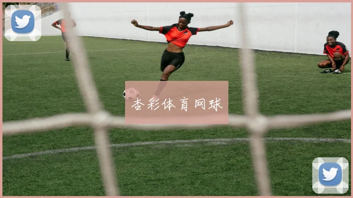 杏彩体育网球