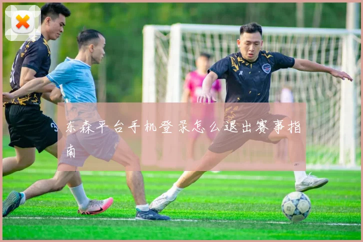 东森平台手机登录怎么退出赛事指南