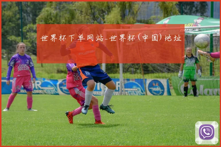 世界杯下单网站_世界杯(中国)地址