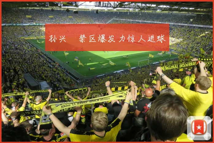 孙兴慜禁区爆发力惊人进球