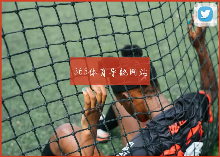 365体育导航网站