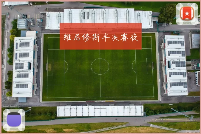 维尼修斯半决赛夜