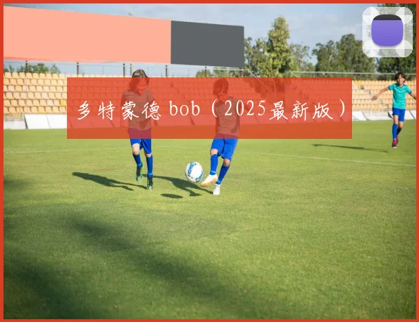 多特蒙德 bob（2025最新版）