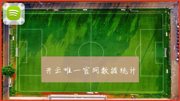 开云唯一官网数据统计
