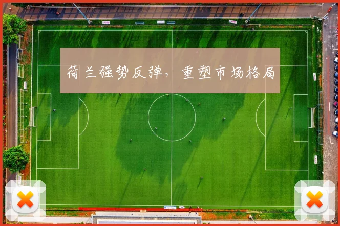 荷兰强势反弹，重塑市场格局