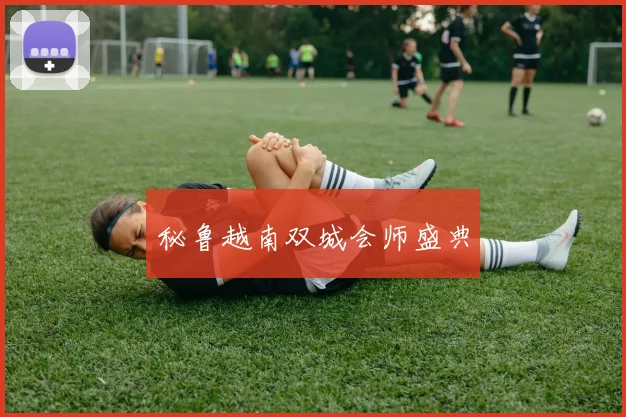 秘鲁越南双城会师盛典
