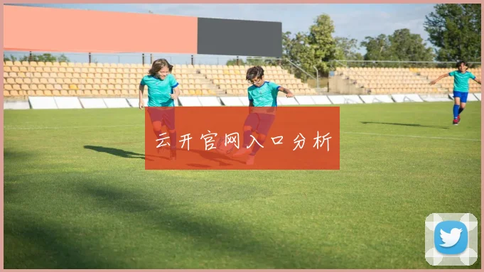 云开官网入口分析