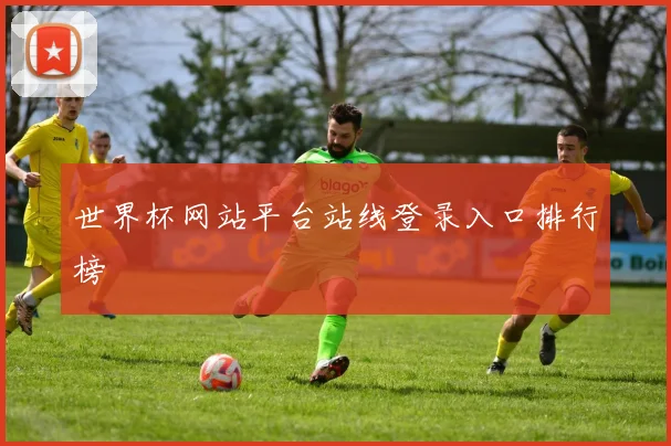世界杯网站平台站线登录入口排行榜