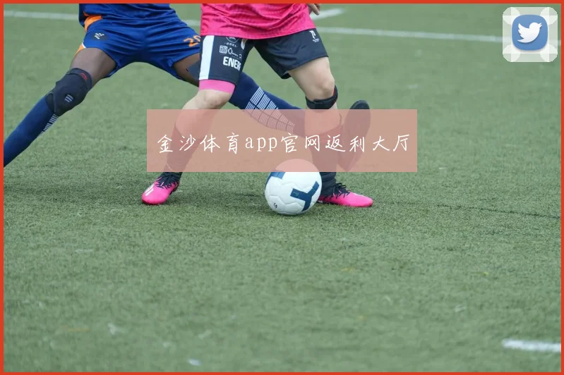 金沙体育app官网返利大厅