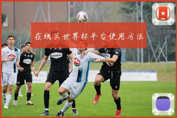 在线买世界杯平台使用方法