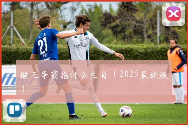猴王争霸指什么生肖（2025最新版）