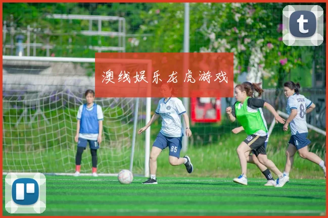 澳线娱乐龙虎游戏