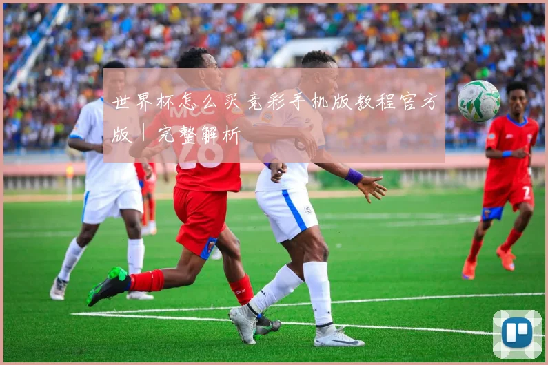 世界杯怎么买竞彩手机版教程官方版｜完整解析