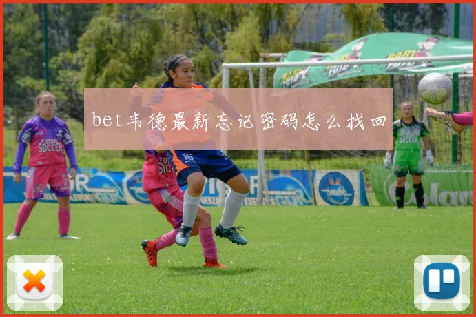 bet韦德最新忘记密码怎么找回