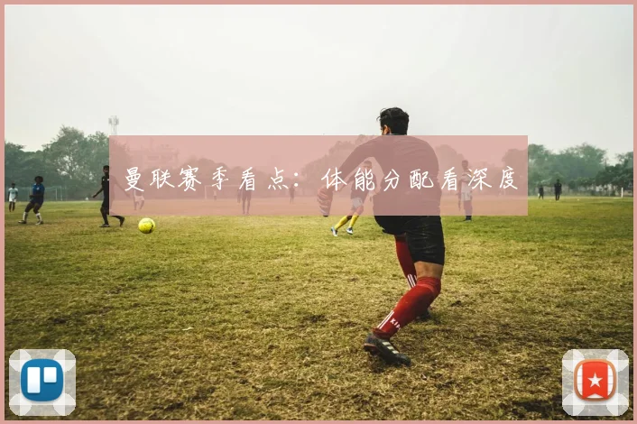 曼联赛季看点：体能分配看深度