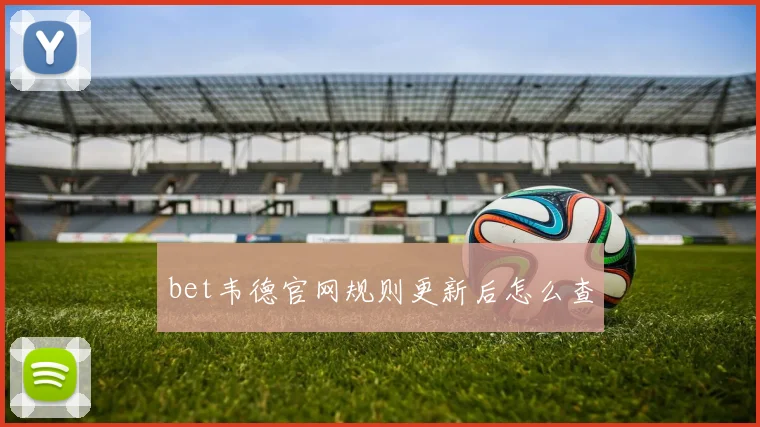 bet韦德官网规则更新后怎么查